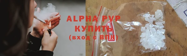 прущие грибы Балабаново