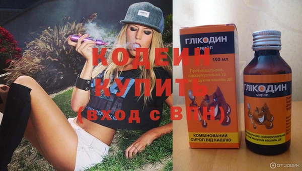 прущие грибы Балабаново