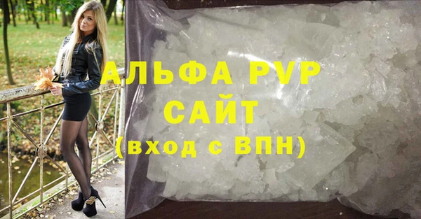прущие грибы Балабаново