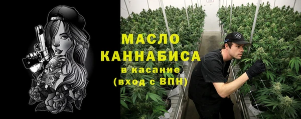 гидра Приозерск
