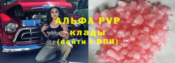 прущие грибы Балабаново