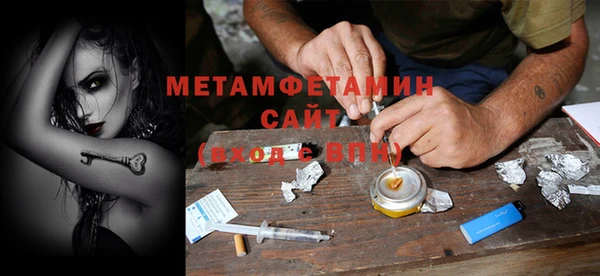 прущие грибы Балабаново